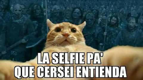 meme 8