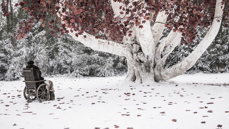 Bran ''Juego de Tronos 8x02' (Game of thrones 8x02)